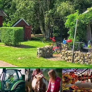 Farm stay Stutteri Skandihest 